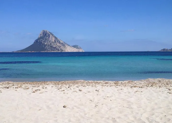 Bilocale Miramare Apartament